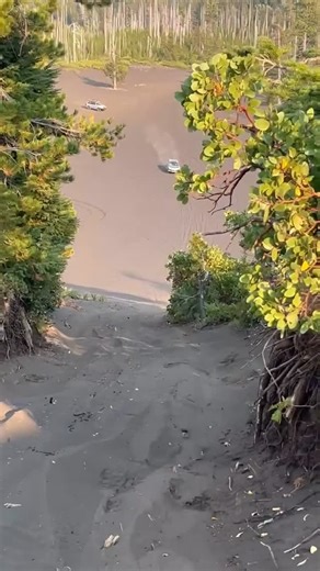 #rallitekequipped 2014 Outback putting in work 💪 Steep, loose, sandy hill? No problem. Built with RalliTEK suspension and armor, this Outback makes its way to the top and proves what a properly set-up Subaru can do. #rallitek #subaru #subaruoffroad #rallitekequipped #liftedsubaru #noroadsrequired #overland #offroad #outback | RalliTEK