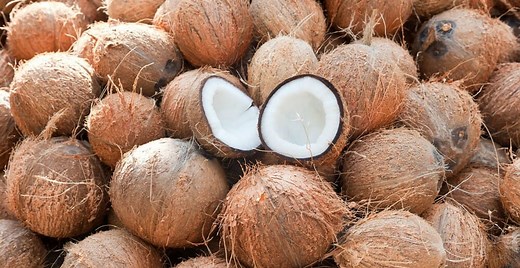 Côte d'Ivoire/Agriculture : la filière coco désormais sous régulation du conseil hévéa palmier à huile ( Officiel) - Abidjan.net News
