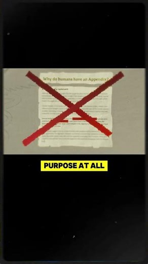 Why Do We Have an Appendix