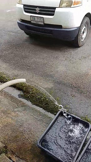 31 reactions · 7 comments | เปิดน้ำแรงๆยังปลิวขนาดนี้ ถ้ายืนฉี่จะปลิวขนาดไหน | Nook Kidsballpython | Facebook