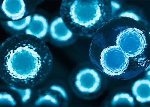 Stem Cell Medicine: From Scientific Research to Patient Care | Harvard Medical School Professional, Corporate, and Continuing Education
