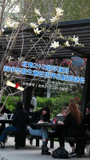 北外留学，对比帮你做出最佳选择！ #北京外国语大学_北外_留学生活 #留学 #北京留学 #北外国际本科