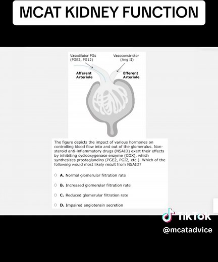 Learn about the kidney for the MCAT! #mcat #mcatprep #premed #premedstudent #premedadvice