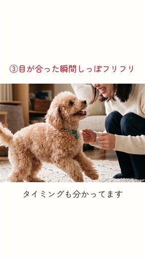 愛され上手な犬が見せる仕草5選 #犬 #雑学