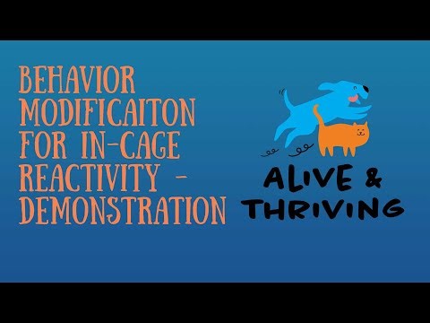 Behavior Modification for In-cage Reactivity in Shelter Dogs - Demonstration