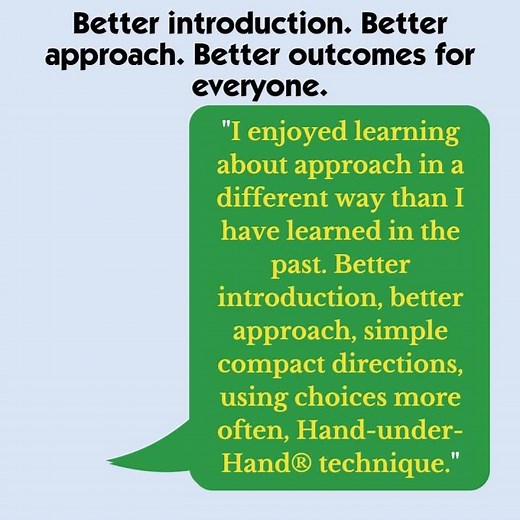 Better introduction, better approach, simple compact directions .....
