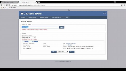 Our new online search system is up and running! Here's a quick tutorial on how to search for an animal. | Beefmaster Breeders United