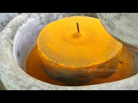 How to make Turmeric Powder | Fresh Homemade Organic Turmeric Powder | Village Food Secrets