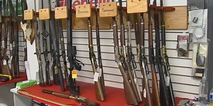 New Oregon bill recharges the fight for Measure 114