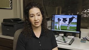 Registered Holstein cattle is a tie that binds the Silveria family. On their dairy near Chowchilla, California, they enjoy caring for the animals and watching the next generation thrive while participating in Junior Holstein Association programs. #HolsteinAmerica | Holstein Association USA