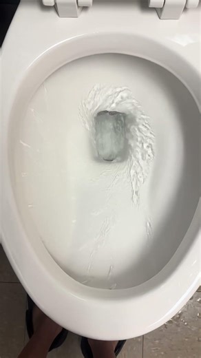 2005 AS ADA cadet flushing toilet paper