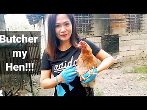 How to Butcher a Hen / Village style / Aliyah's backyard