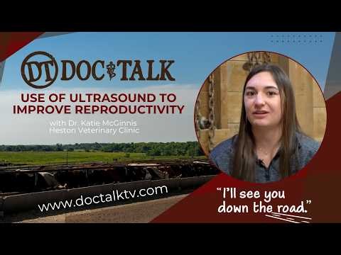 DocTalk Ep 732 Using Ultrasound to Improve Reproductive Success
