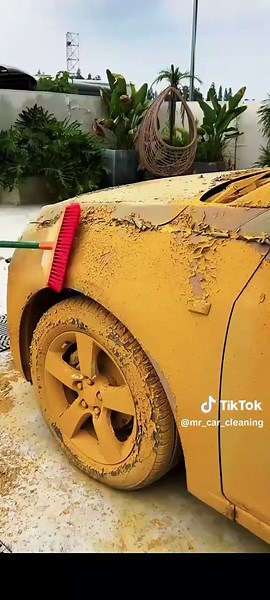 Ultimate Car Washing Tips for a Spotless Shine