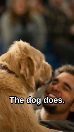 The Dog Chooses You 🐾