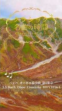 バッハ オーボエ協奏曲 BWV 1056 第1楽章