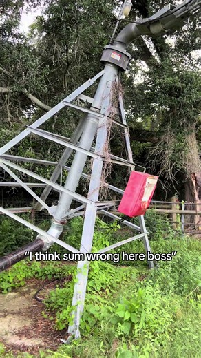 Funny Farm Fails: Hilarious Agricultural Moments