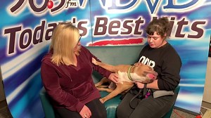 He’s here! Our first #Dogoftheweek from Detroit Dog Rescue. Meet Frosty, what a love! He is ready to go HOME ❤️☃️🐶 #adopt #Detroit | 96.3 WDVD