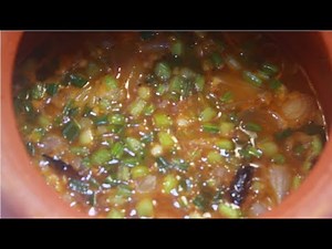 SPICY AND HEALTHY SPRING ONION SOUP/VEG GREEN ONION SOUP