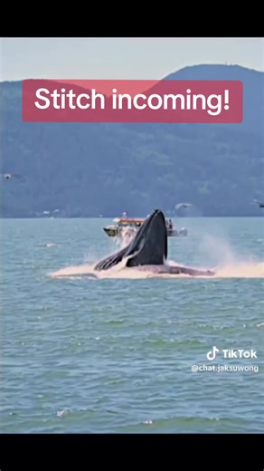 Stitch Technique in Photography: Capture the Moment