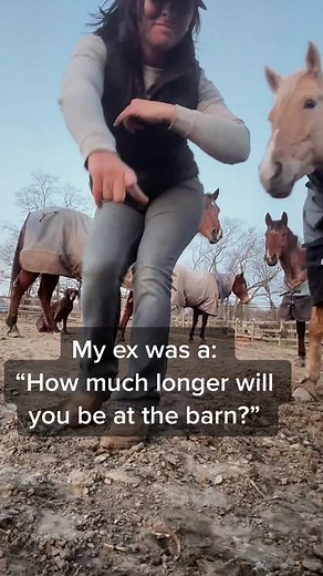 💍 #win #marriage #horse #horsecouple #married #fmyex #trending #trend #dance #fyp #foryou #foryoupage #horsegirl #hoarder #horses