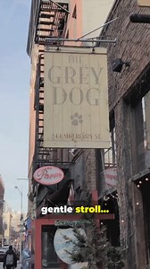 NYC streets & avenues explained! | From New York City