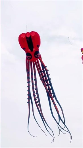 Octopus kite #fly kite #fly kites together #kite #fly your mood and embrace nature #kite flying
