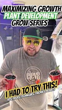 How to Grow Bigger Buds: 5 vs 20 Gallon Pots (Weed Grow Test ) 🌱💯