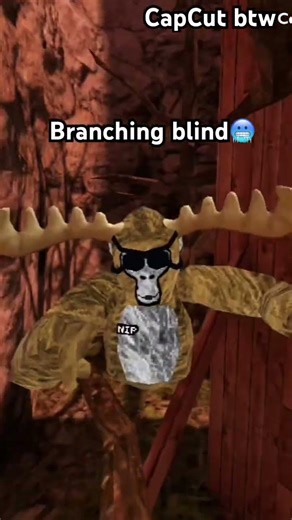 Branching with only muscle memory