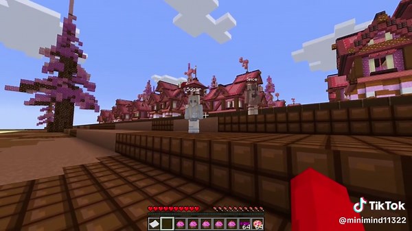 Exploring Zoey's Secret World in Minecraft
