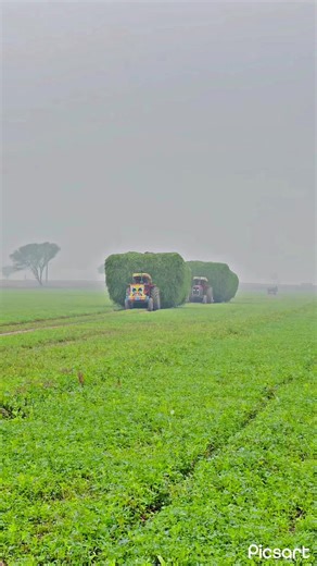 Report problem plz repost😔#unfreezemyacount #viewsproblem #forupage #100kviewervideo #dontunderviewmyvideos🥀