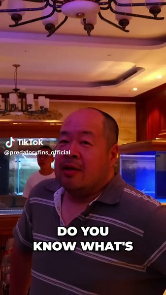 Crystal Clear Aquarium Filtration Systems Explained