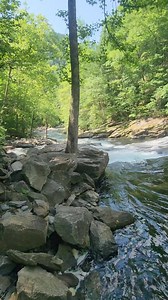 Baby Falls is a roadside waterfall in the Cherokee National Forrest near Tellico Plains, Tennessee. #Tennessee #waterfall #waterfalls #hike #hiking #babyfalls | Outdoor Adventures in Tennessee