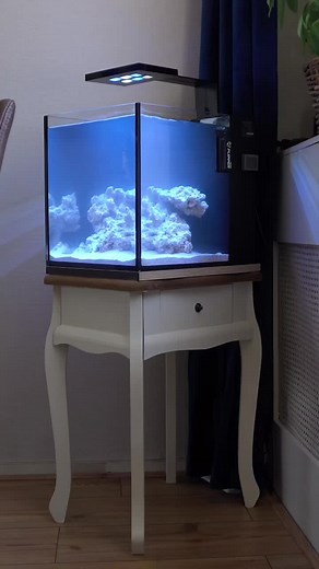 Setting Up an Aquarium: Aesthetic Fish Tank Guide