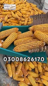 7.2K views · 64 reactions | Maize Thresher Machine | Corn Sheller...