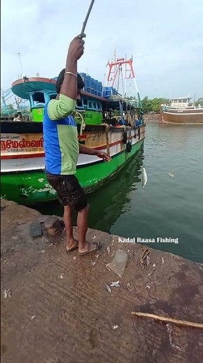 Mullet Fish Catching Using Bamboo Stick Rod & Triple Hook Setup! #fishing #fishingmethods #fish
