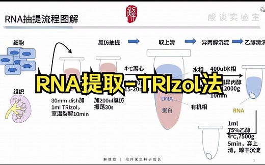 自用| RNA提取（TRIzol法）