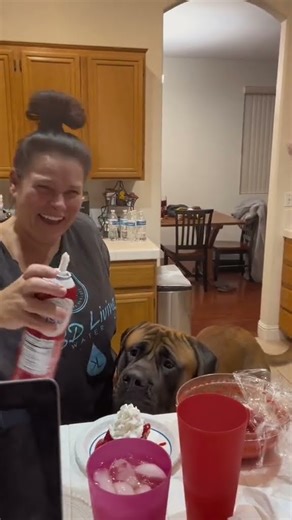 GIANT puppy is obsessed with whipped cream #dog #dogs #cutedog