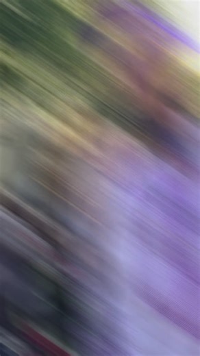 Every King needs a Queen