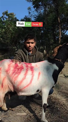 Unexpected Comedy Twist That Will Make You Laugh