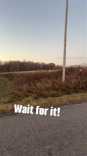 Bow Camp on Instagram: "How does he go from dink to that just by a turn of the head! #whitetaildeer #hunting #bigbuckdown #bowhunting #Bowcamp #hugebuck"