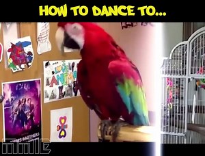 14K views · 239 reactions | Haha, surprisingly accurate! :D Get some cool EDM samples here: www.waproduction-samples.com | W. A. Production | Facebook