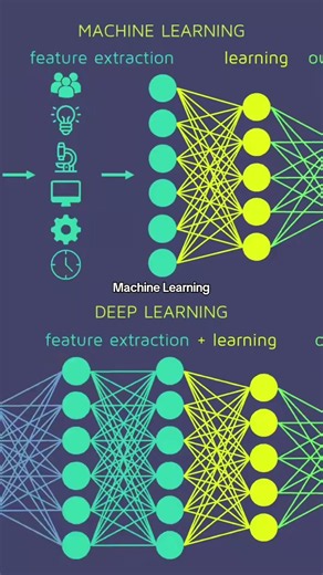 What Machine Learning REALLY Looks Like 📊🦾
