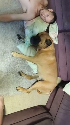 Couch surfer #shorts