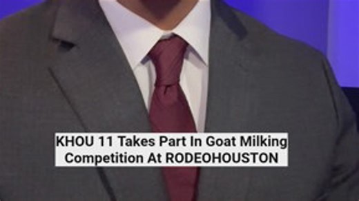 Goat milking contest at the rodeo