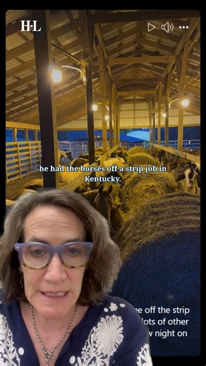 14K views · 117 reactions | At least 40 wild horses from Breathitt County have landed in a Tennessee kill pen, sparking calls for Kentucky to reform its laws and better protect free-roaming horses. #kentucky #BreathittCounty #kywildlife #tennessee #horses | Kentucky.com | Facebook