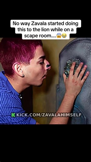 No way Zavala started doing this to the lion while on a scape room….😱😭#fyp #zavala #amanda
