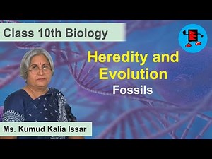 CBSE Class 10 Biology Heredity and Evolution Fossils