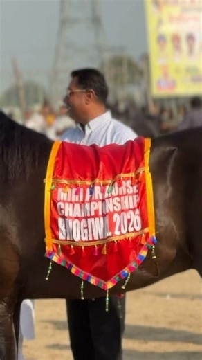 🐎 Gulbagh – Bhogiwal Champion of champion| Marwari Horse Power 💪#Gulbagh #Bhogiwal #MarwariHorse