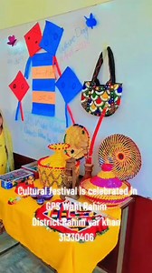 1.5K views · 11 reactions | School name : GPS Wahi Rahim District: Rahim yar khan EMIS Code: 31330406 Head : Farhat Hanif Focal person of the environmental club: Miss Sobia Nasim | School Education Information | Facebook